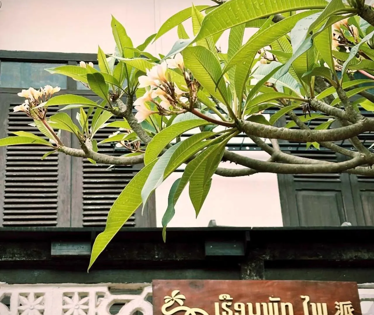 Phai Guesthouse Luang Prabang Laos