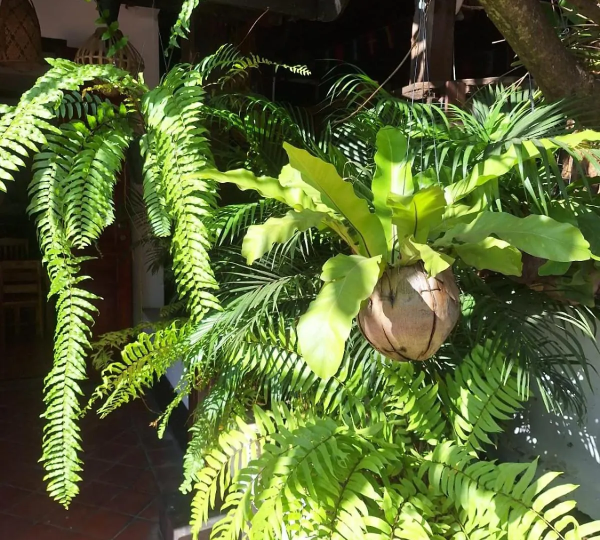 Guest house Phai Guesthouse Luang Prabang Laos